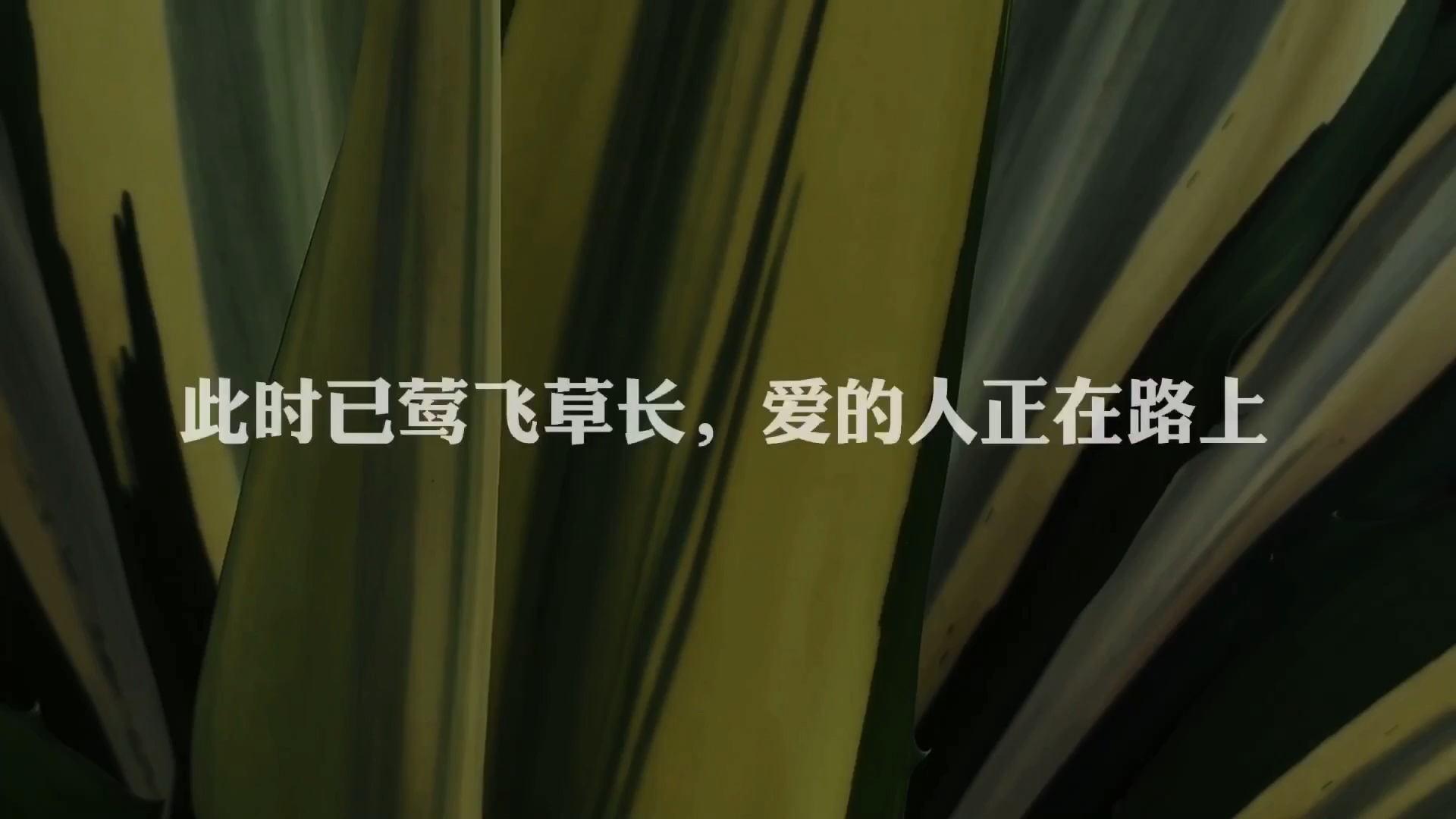 疫情过后的10句走心文字,你最想给谁看?哔哩哔哩bilibili