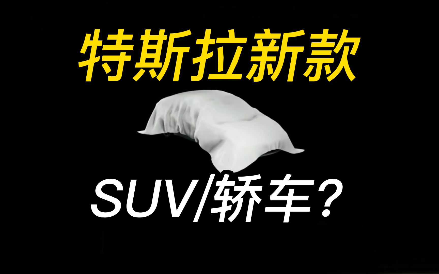 十几万的特斯拉快要来了,你觉得是SUV还是轿车还是两厢车?哔哩哔哩bilibili