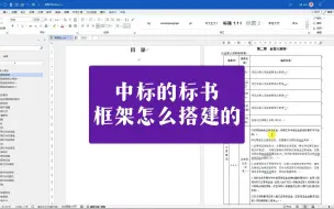 Download Video: 中标的标书，都是这样搭建框架的。