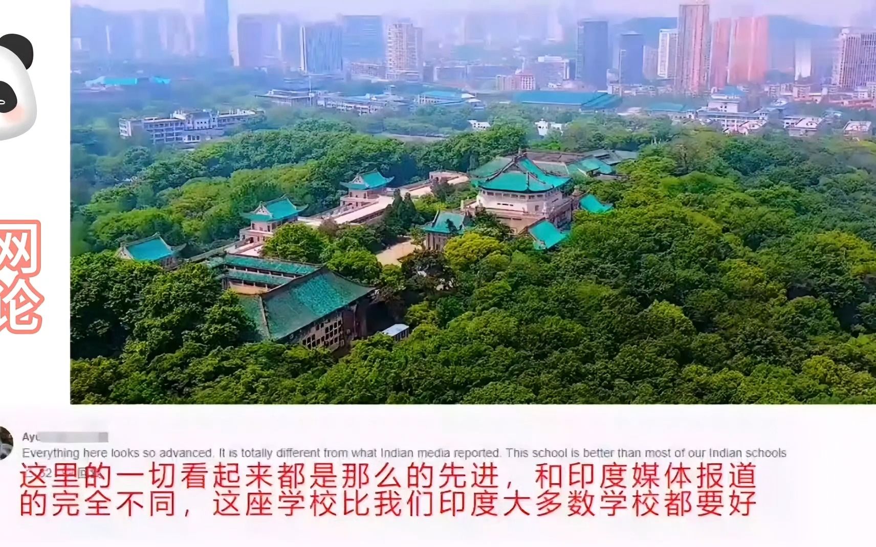 日本博主航拍武汉大学,外国网友:这肯定不是学校!这肯定是在公园里!