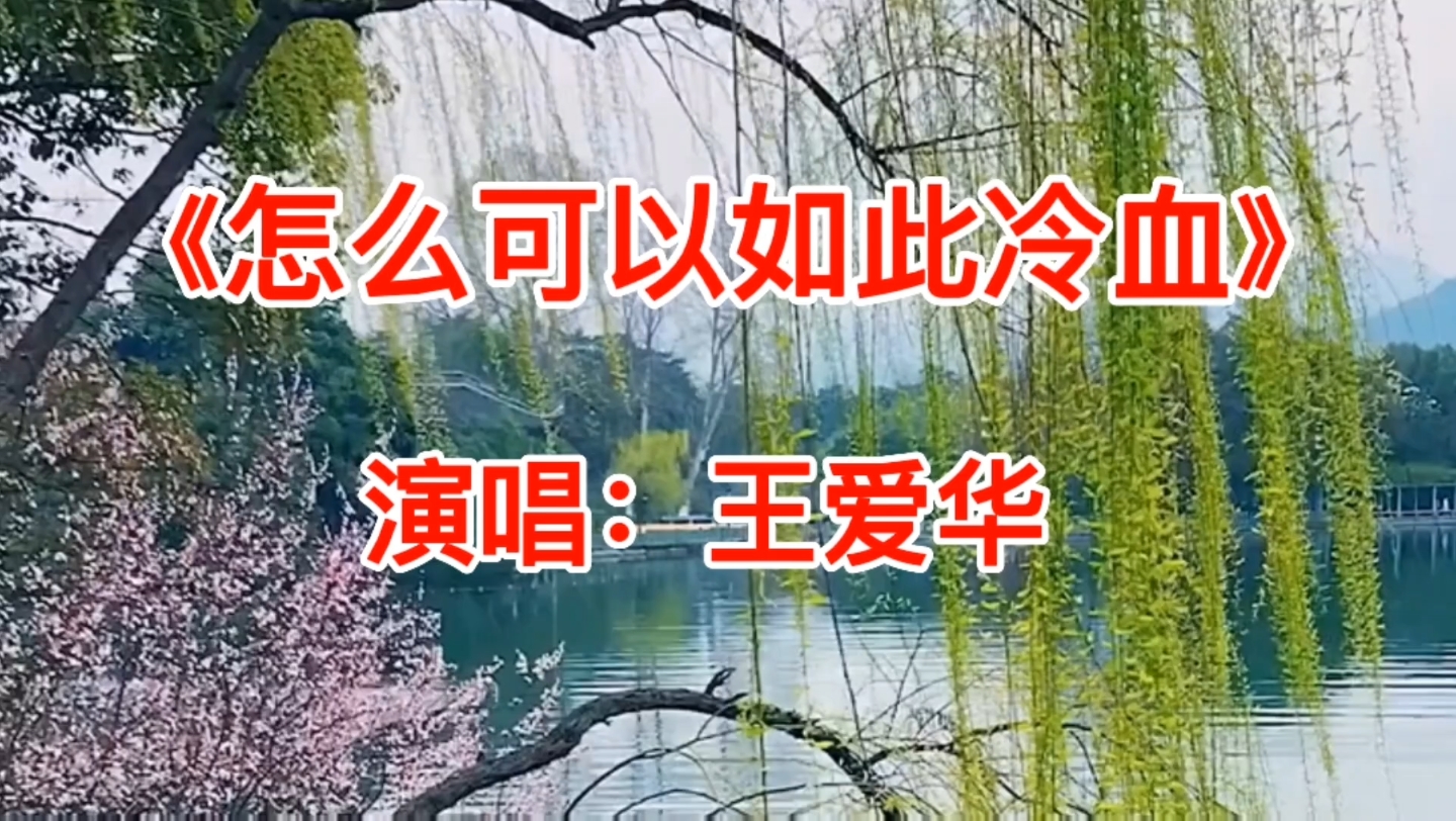 [图]王爱华演唱的一首伤感情歌《怎么可以如此冷血》，旋律优美动听