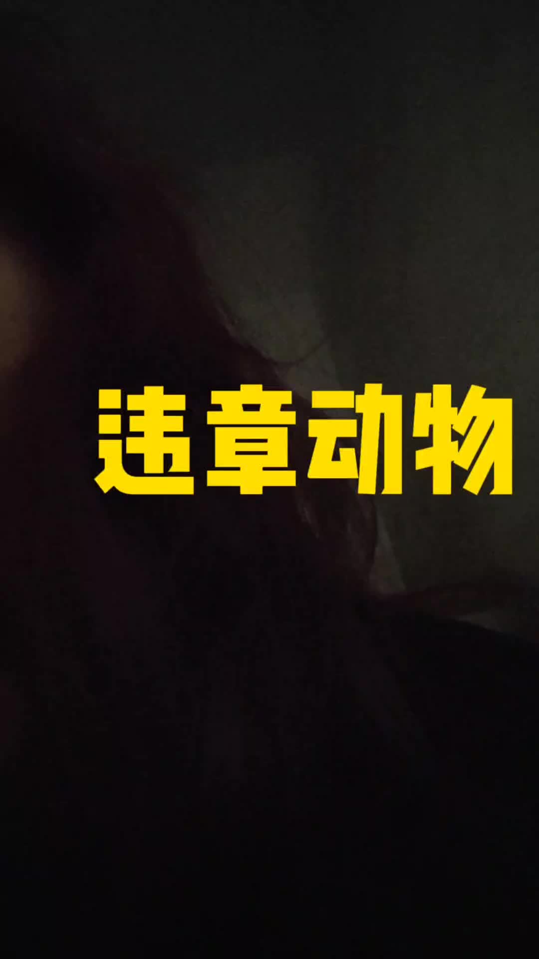 就买个红薯吧 否则夜太寒冷