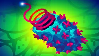 【Kurzgesagt】狂犬病毒 - 地球上最致命的病毒