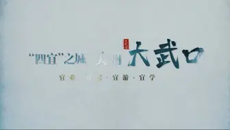 “四宜”之城 美丽大武口