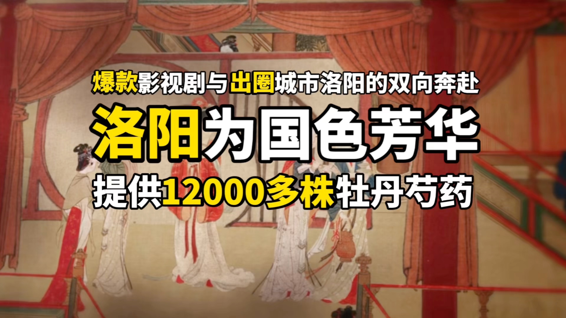 洛阳为开年大剧《国色芳华》提供12000多种牡丹芍药,8位牡丹专家,没想到背后有着多么的洛阳元素.哔哩哔哩bilibili