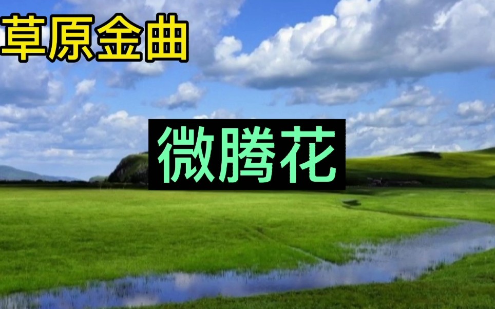 草原金曲《微腾花》哔哩哔哩bilibili