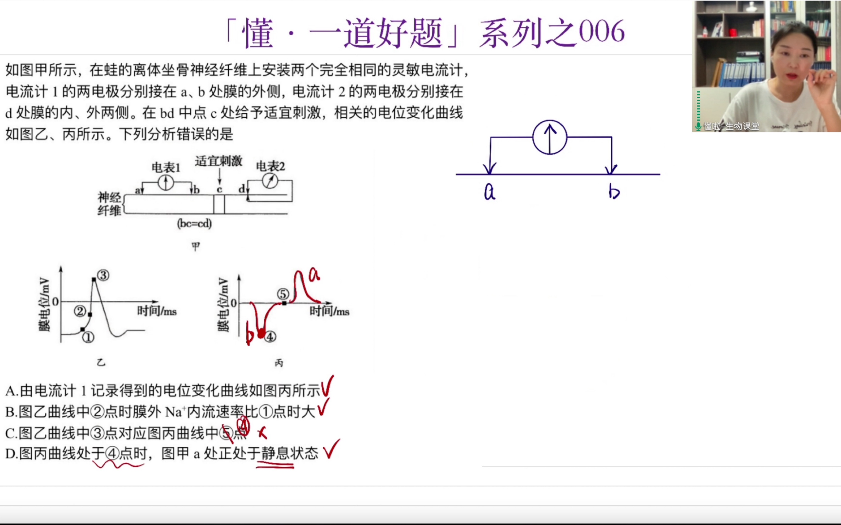 膜电位变化|指针偏转|神经调节|懂ⷤ𘀩“好题系列之006哔哩哔哩bilibili