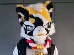 Download Video: 還不會跳 動動 一下 #fursuit兽装