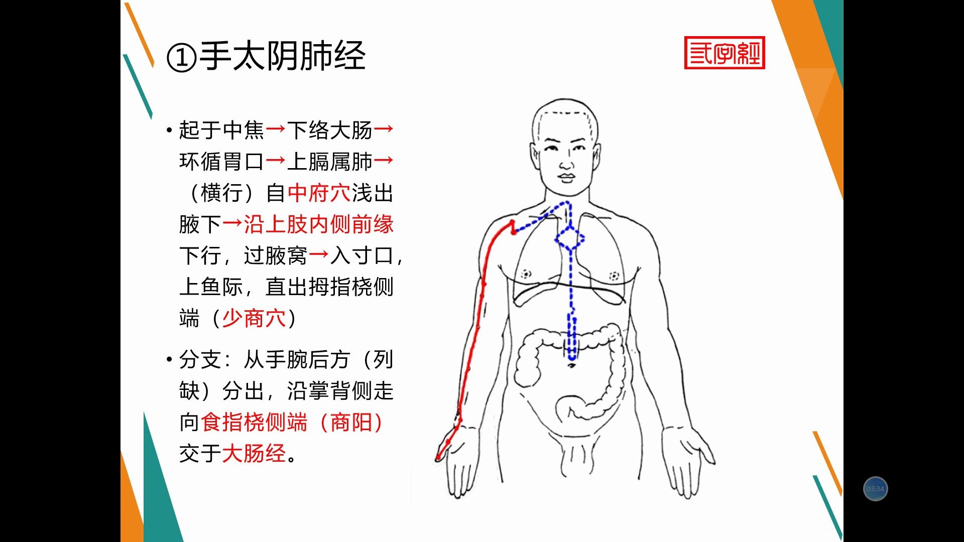 [图]中医经络学说（二）