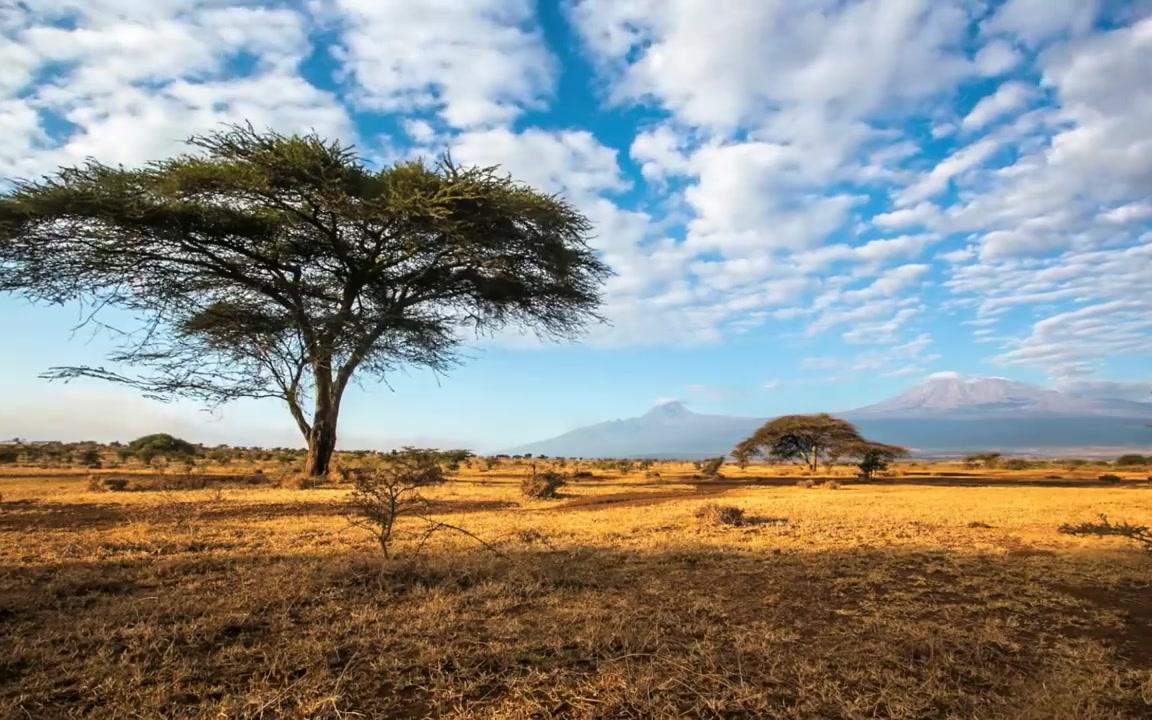 世界人文地理-黑非洲风情-马赛孩子的生活