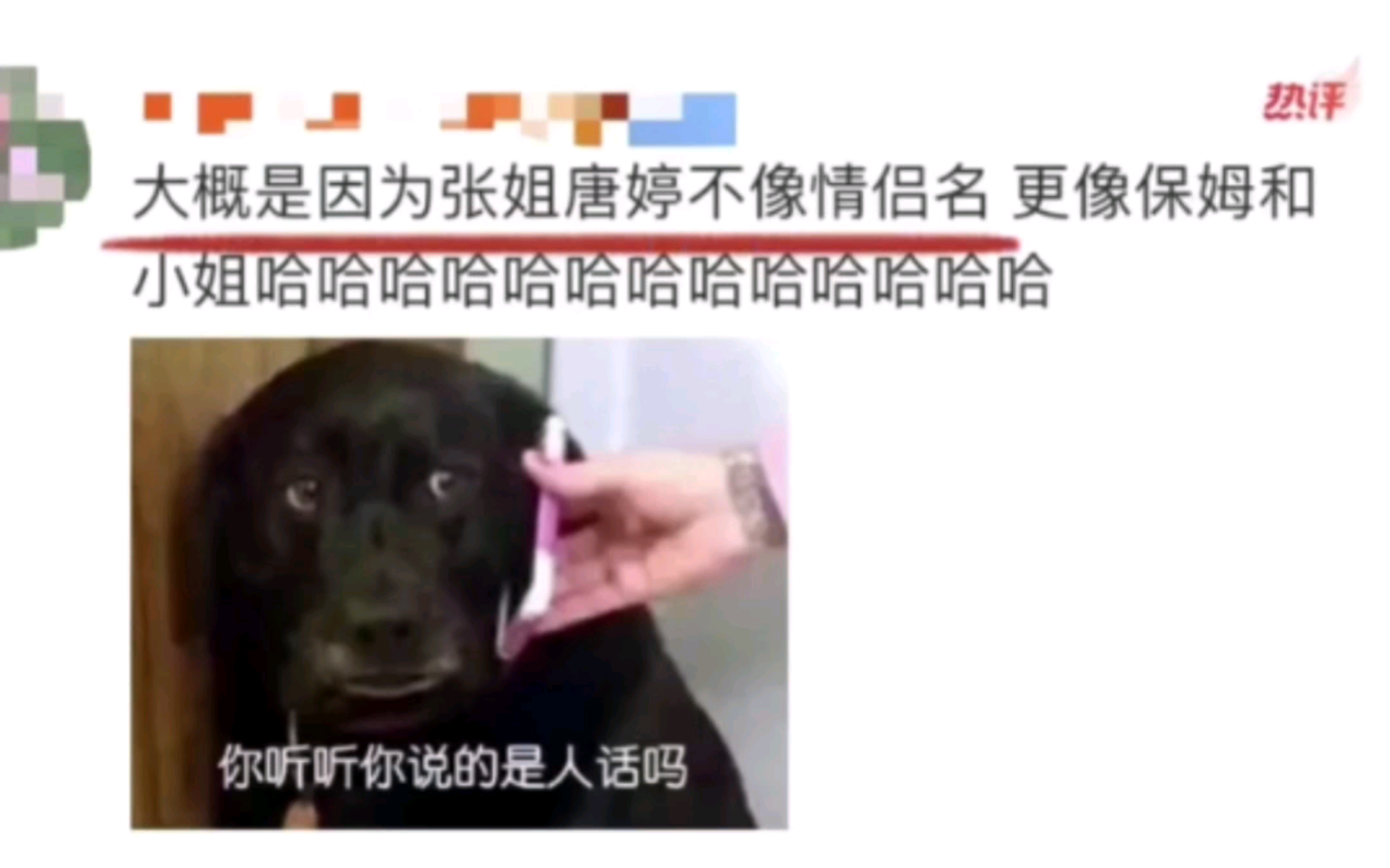 哈哈哈张若昀为什么不能改名叫张姐哔哩哔哩bilibili