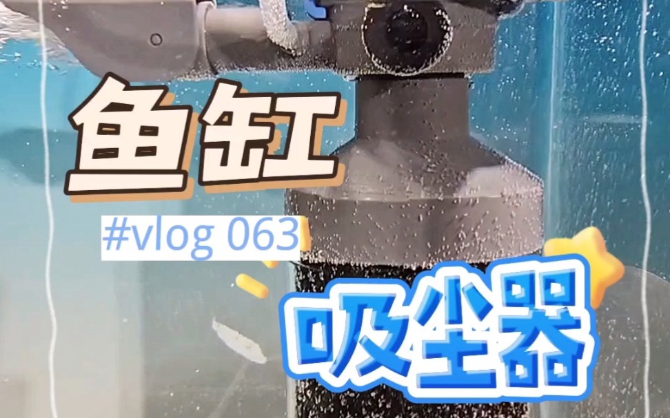 鱼马桶过滤器鱼便收集器内置自动鱼便分离器上滤循环增氧泵#养鱼日记
