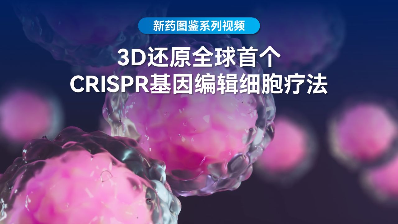 【3D还原】全球首个CRISPR基因编辑细胞疗法Exacel哔哩哔哩bilibili