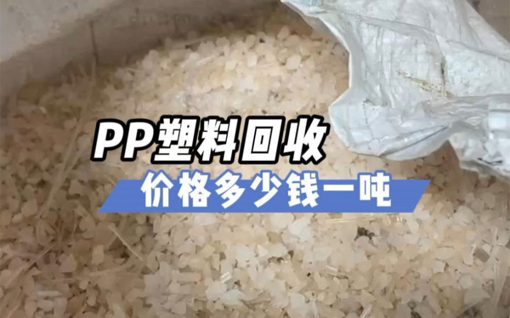 PP塑料回收价格多少钱一吨?哔哩哔哩bilibili