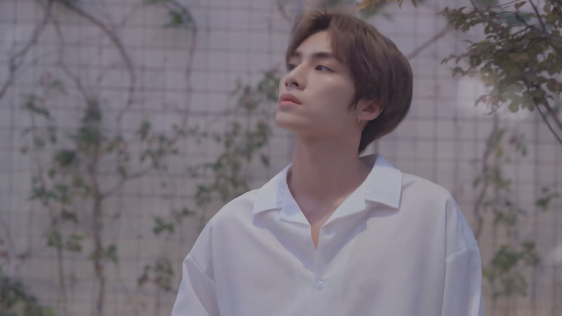 肖俊肖德俊双重人格