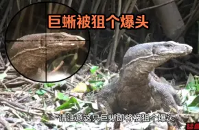 Download Video: 巨蜥被猎人一枪崩了！可破屋的后面还有更多，于是猎人上头了