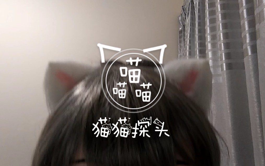 【kigurumi】猫猫探头(是天依喵吖)
