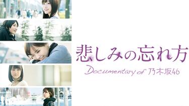 Dοcumentary οf 乃木坂46_哔哩哔哩_bilibili