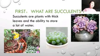 多肉植物萝藦科属花卉介绍 哔哩哔哩 Bilibili