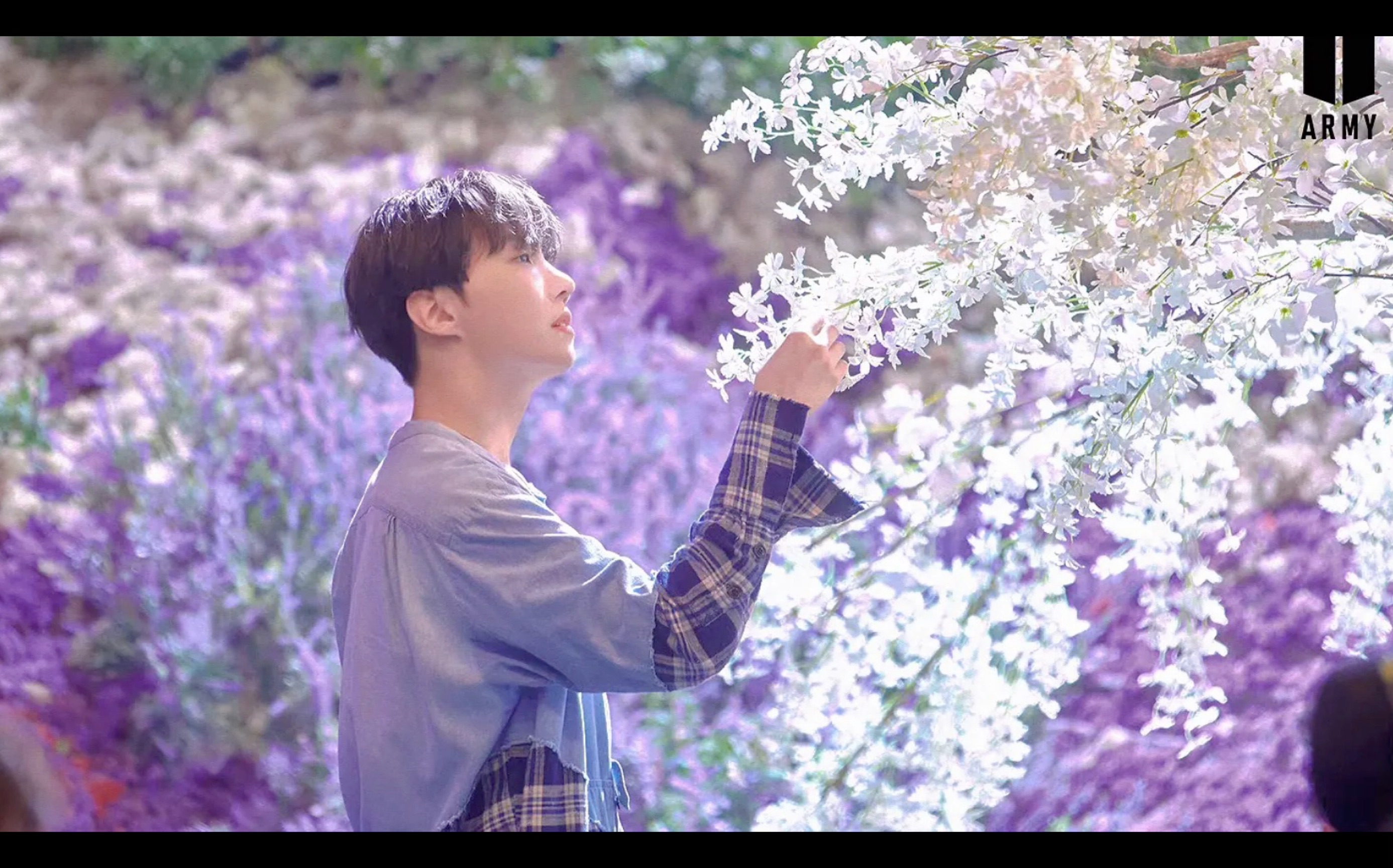 浅观人间沼泽 — 论郑先生的氛围感_哔哩哔哩_bilibili