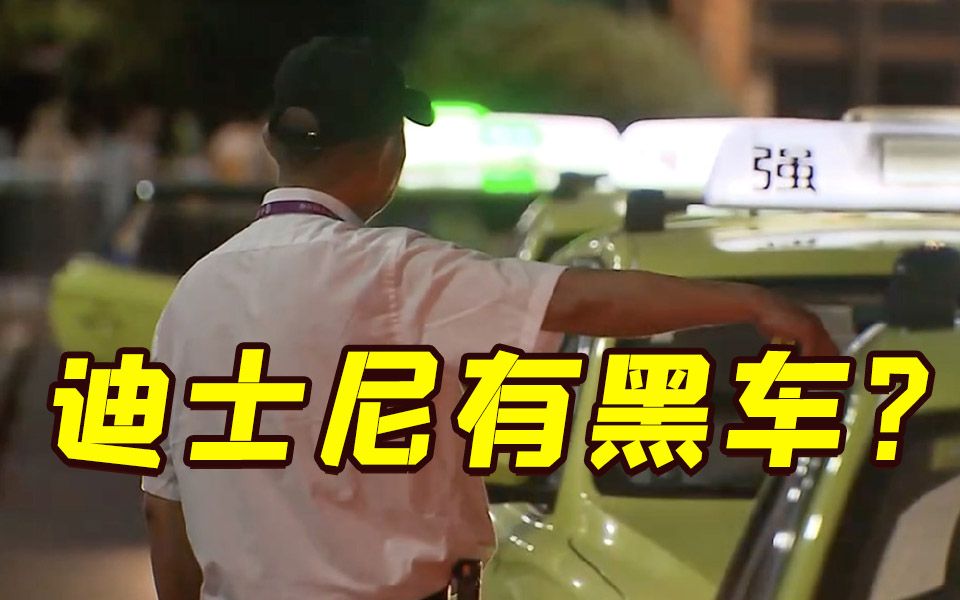 网曝上海迪士尼“黑车横行”?系不法分子绕开正规区拉客哔哩哔哩bilibili