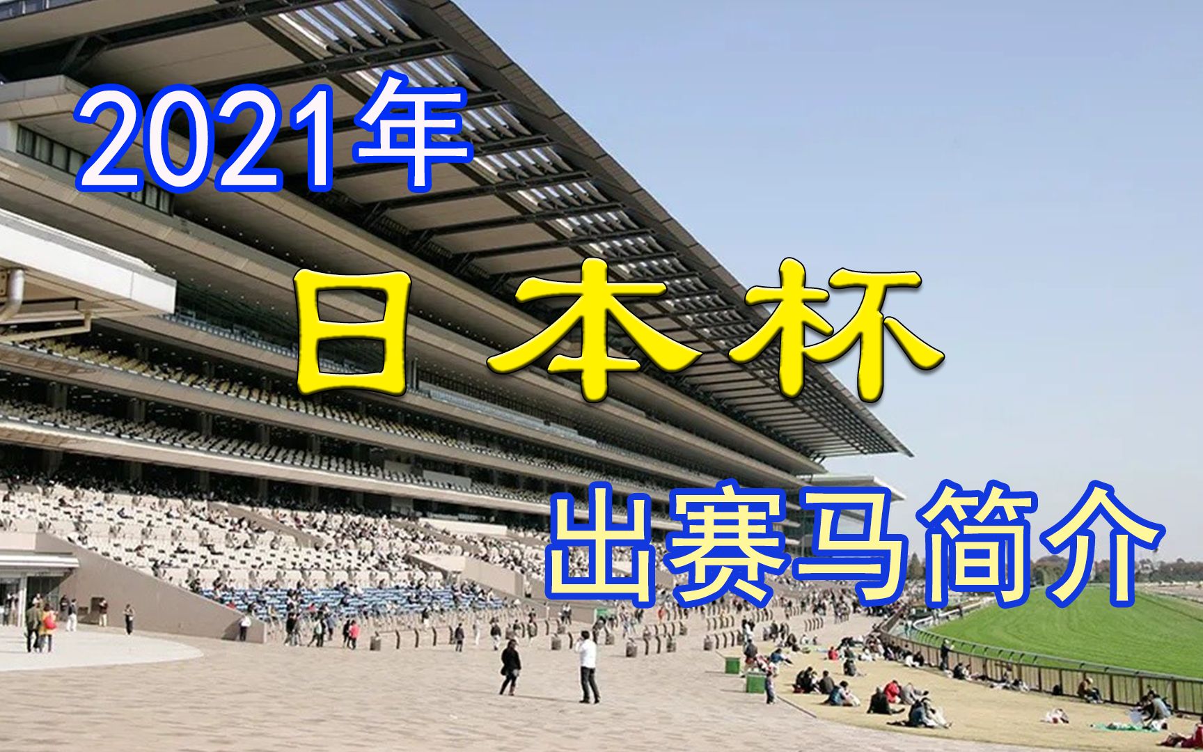 【日本赛马】2021年 日本杯 出赛马简介哔哩哔哩bilibili