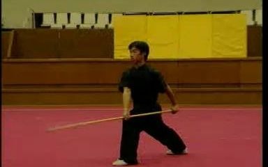 南棍 基本棍法与组合 Nangun(Southern Staff) Basic Movements and Combinations哔哩哔哩bilibili