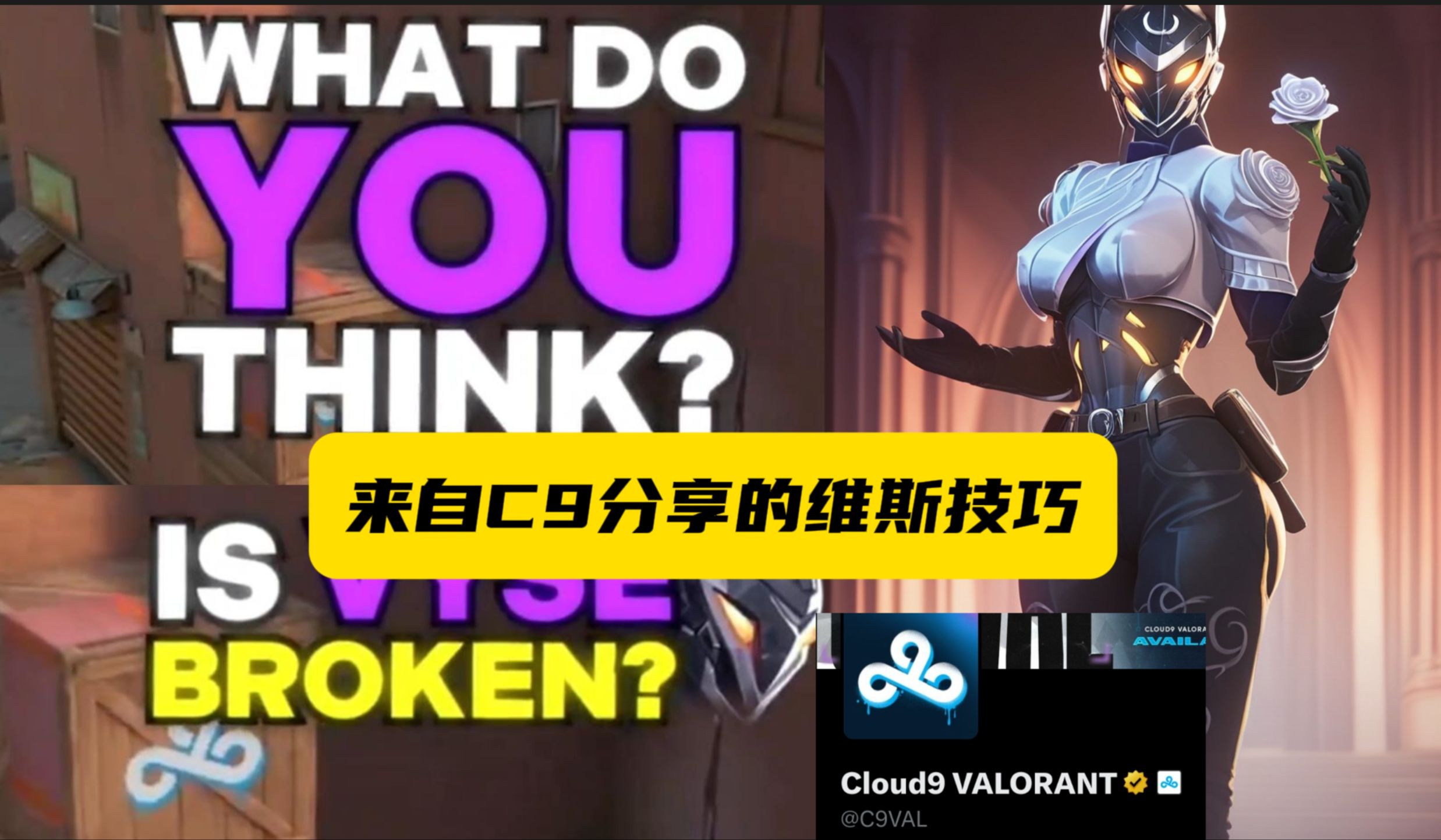 来自Cloud9俱乐部分享的新英雄维斯小技巧VALORANT技巧