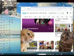 Télécharger la video: 未明子也爱猫meme了