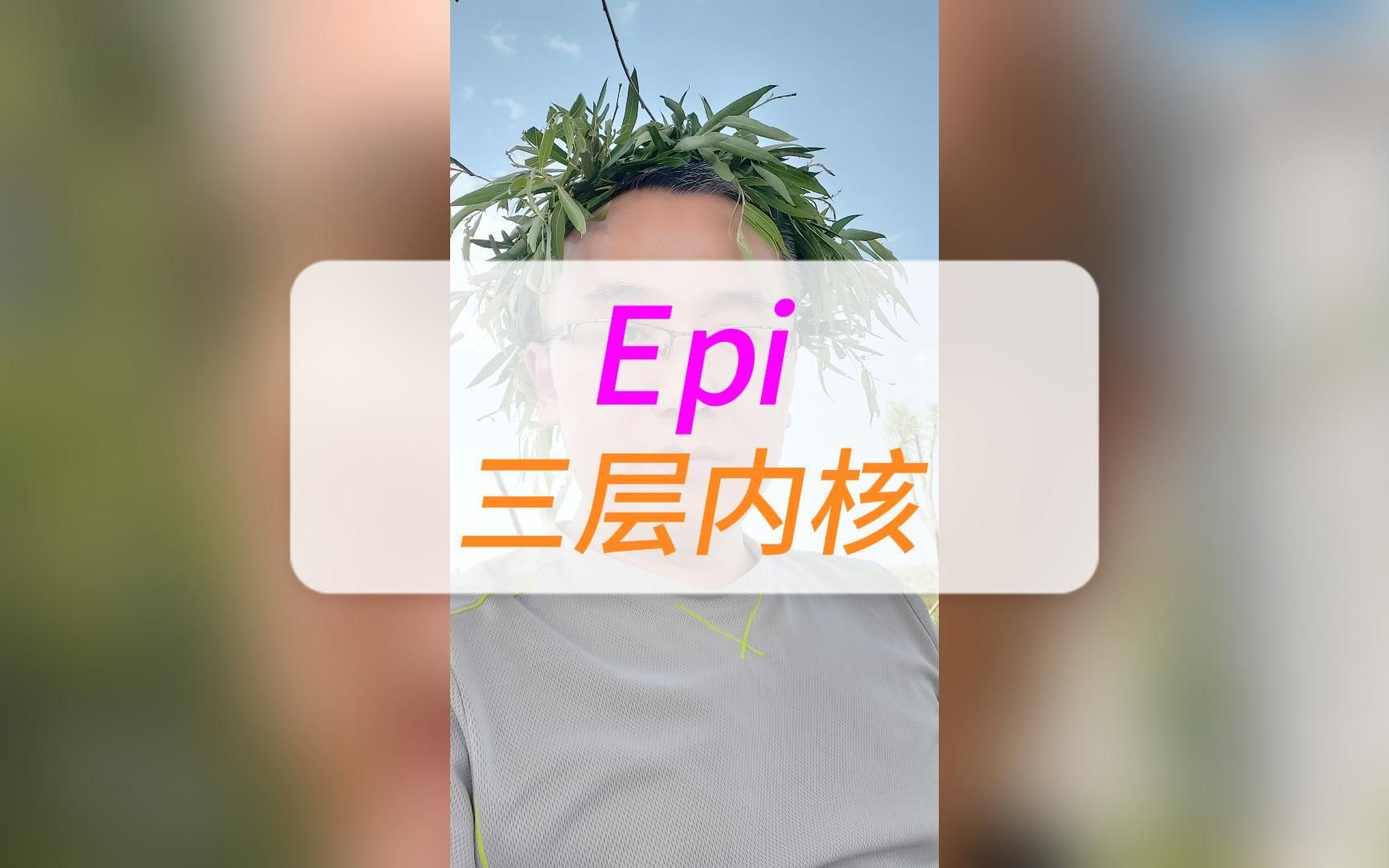 Epi的三层内核(Epigenetics是一个合成词由Epi+genetics构成)哔哩哔哩bilibili