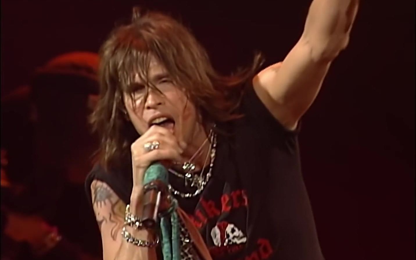 [图]Aerosmith - Cryin' (from You Gotta Move - Live)