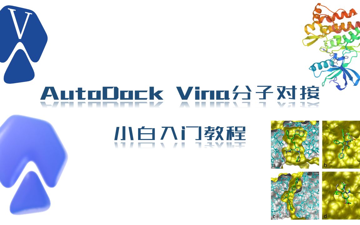 [新版]AutoDock Vina分子对接小白1小时入门教程哔哩哔哩bilibili