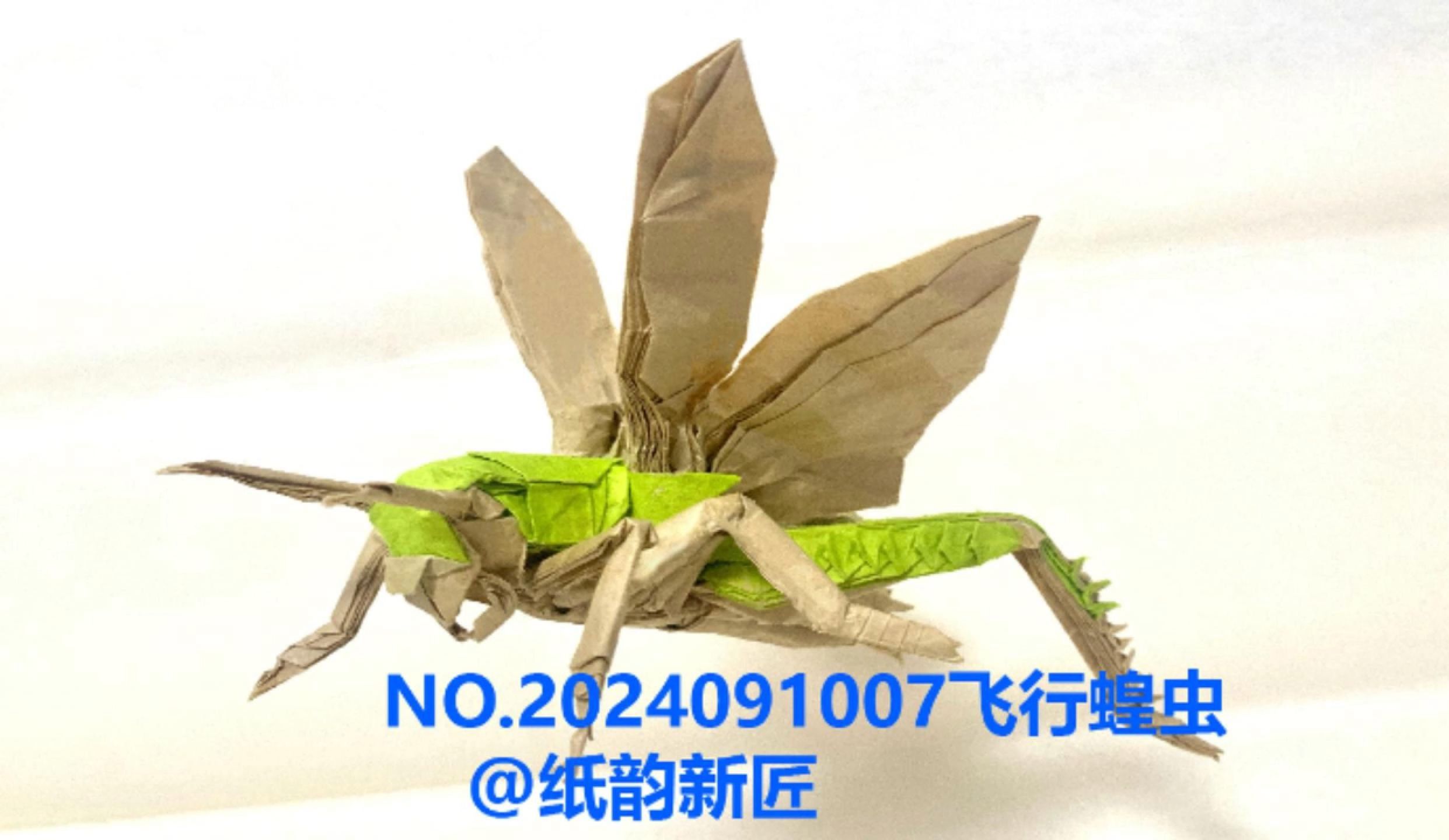 no.2024091007飞行蝗虫9月昆虫生物主题折纸作品展示