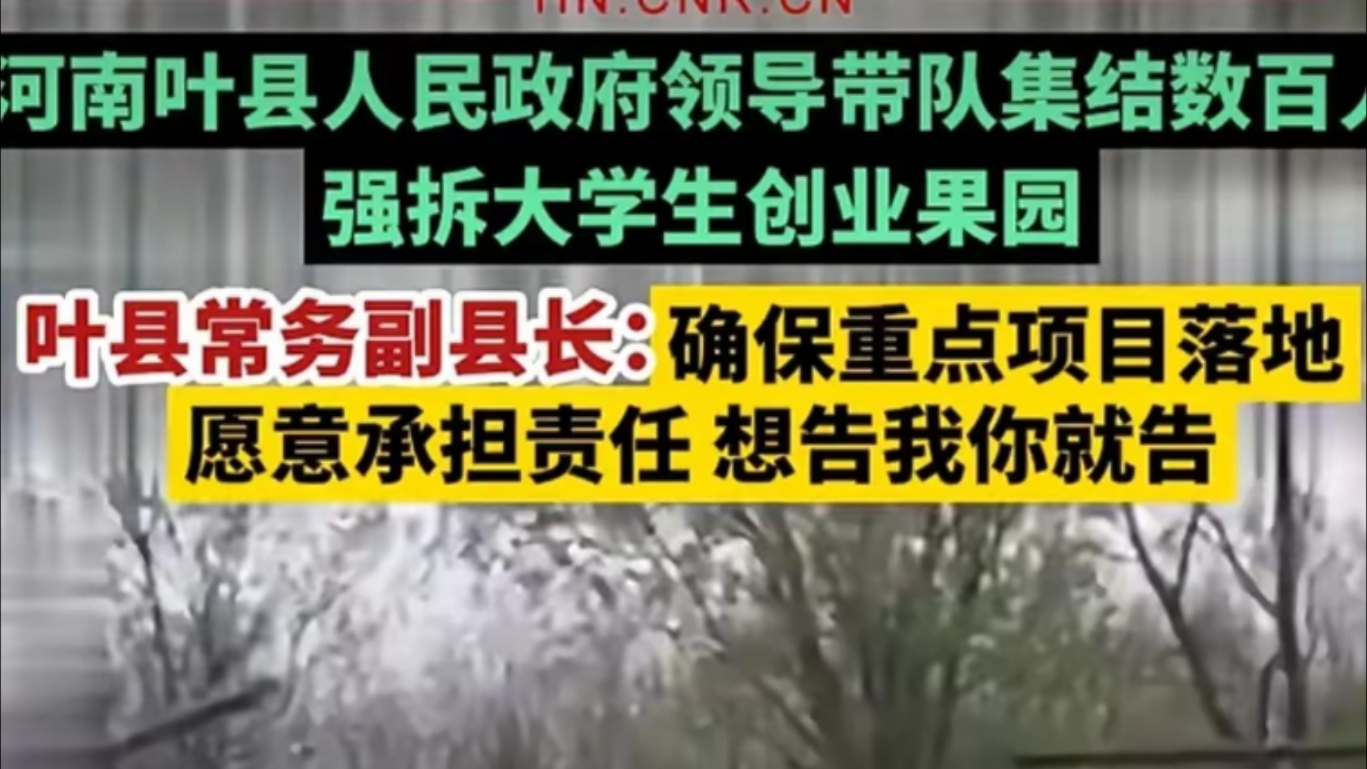 闹大了!叶县领导带300人强拆大学生创业的梨园 官方回应让人愤怒哔哩哔哩bilibili