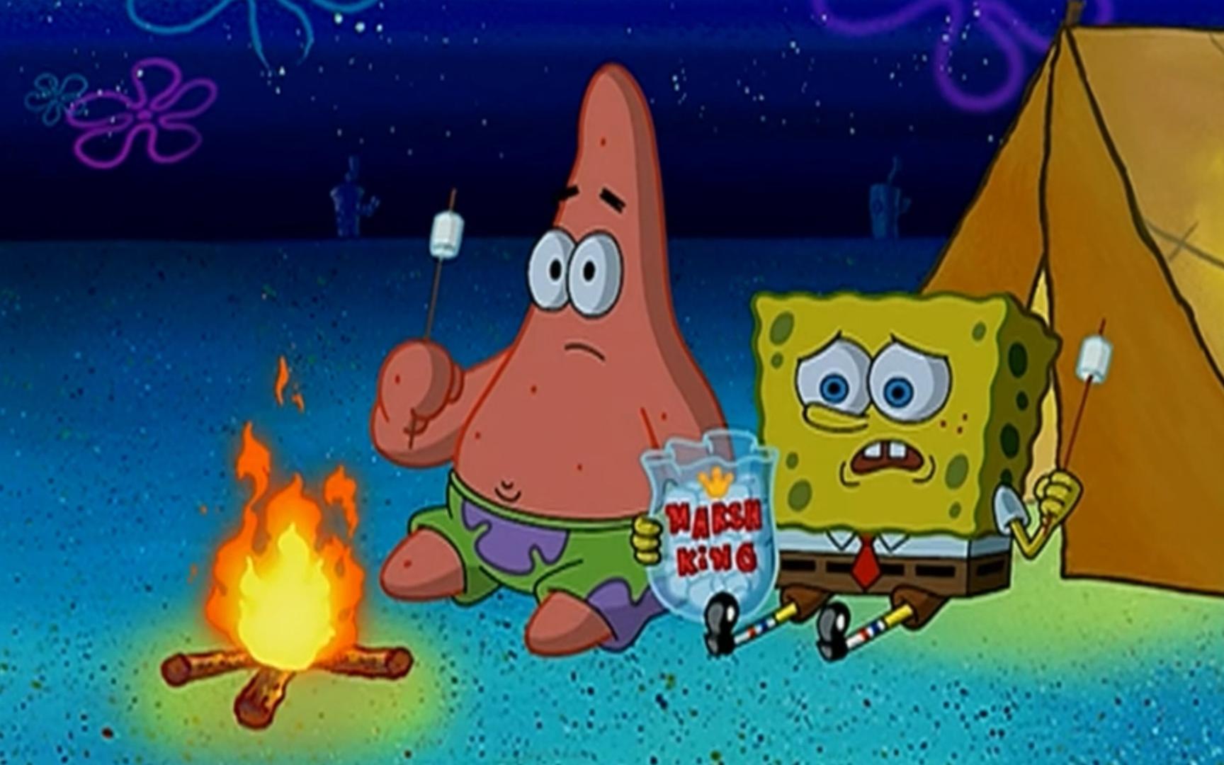 【央】海熊来了