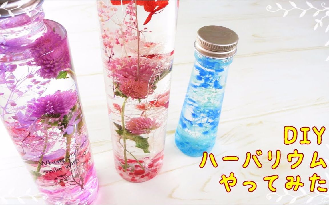 【DIY】植物标本哔哩哔哩bilibili