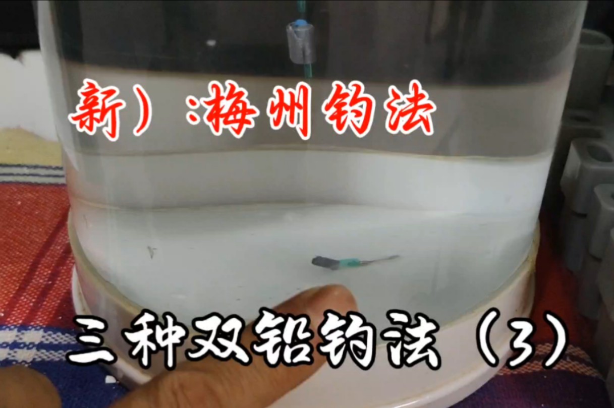 三种双铅钓法(3)
