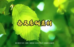 Download Video: 短视频素材：007春天素材|天气晴朗，惠风和畅，每一个有阳光的日子都很美妙