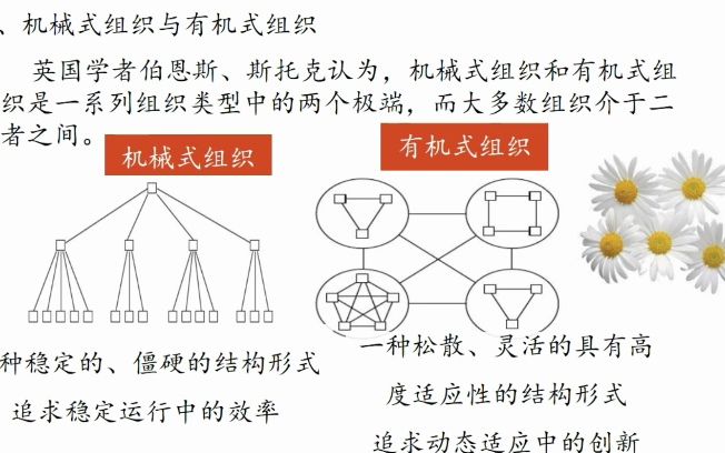 马工程管理学——有机式和机械式组织结构哔哩哔哩bilibili