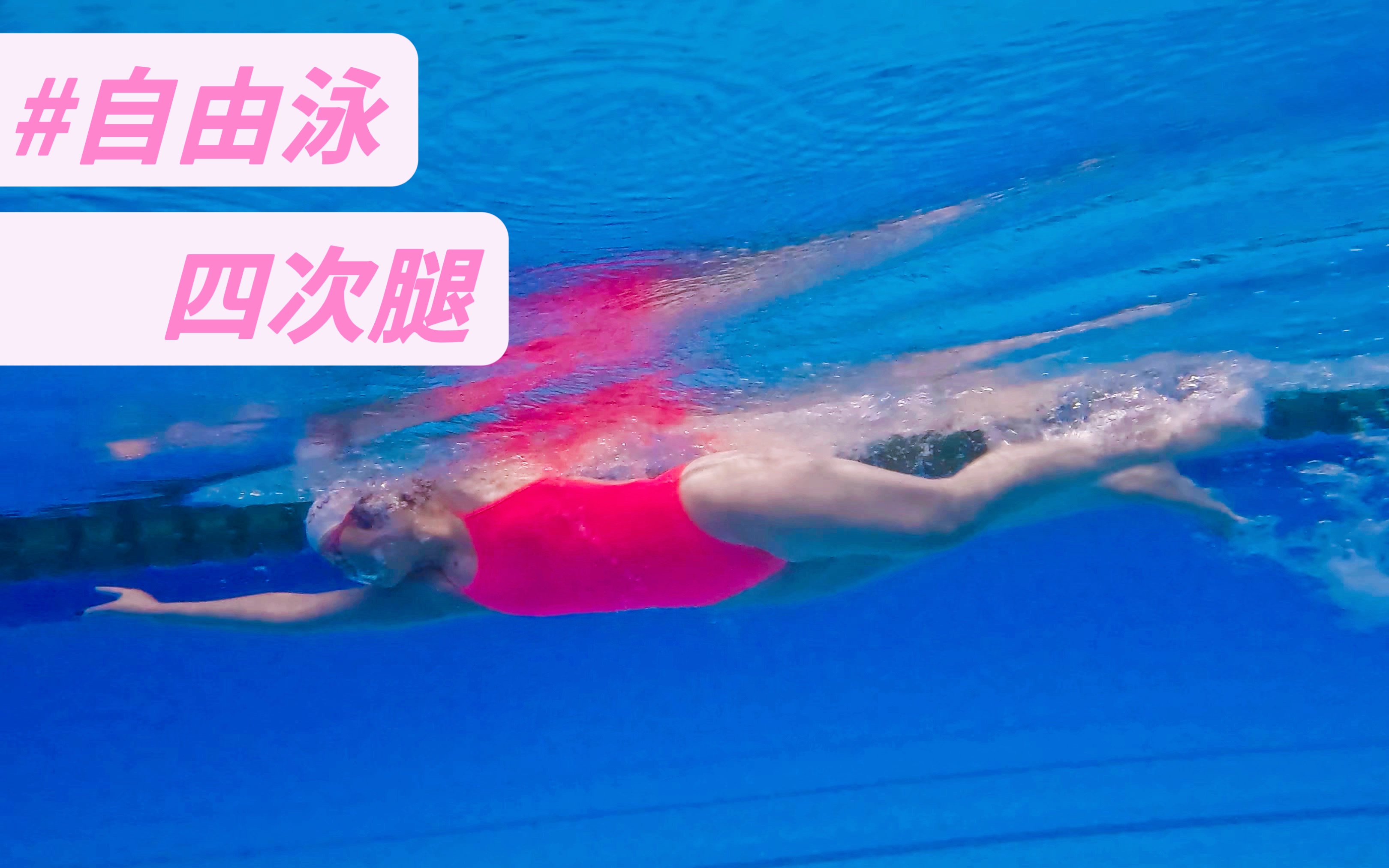 全浸式自由泳 3/3 高肘抱水-bilibili(B站)无水印视频解析——YIUIOS易柚斯