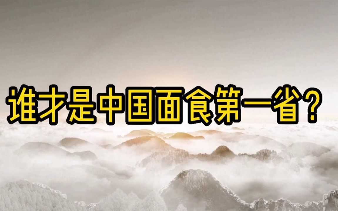 陕西、河南、甘肃、山东谁才是中国吃面第一省?山西人:就这?哔哩哔哩bilibili