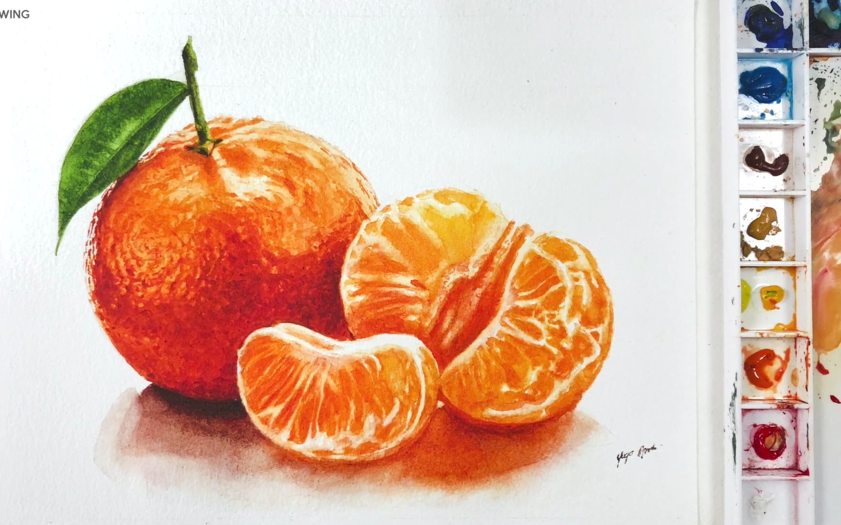 橘子作画图片