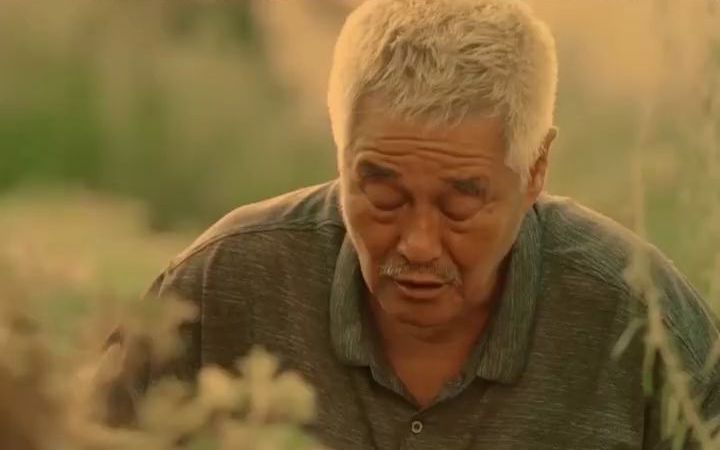 刘老根3刘老根思念丁香痛哭这些回忆太扎心