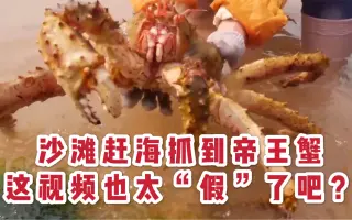 赶海抓到帝王蟹，做自媒体短视频，到底需要“造假”吗？