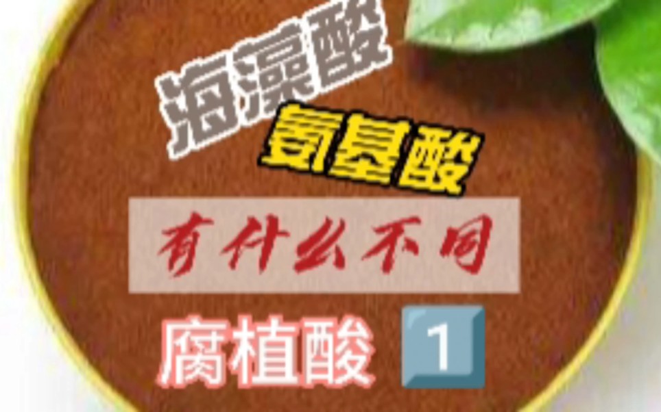 氨基酸、腐植酸、海藻酸有什么区别?哪个效果更好?哔哩哔哩bilibili