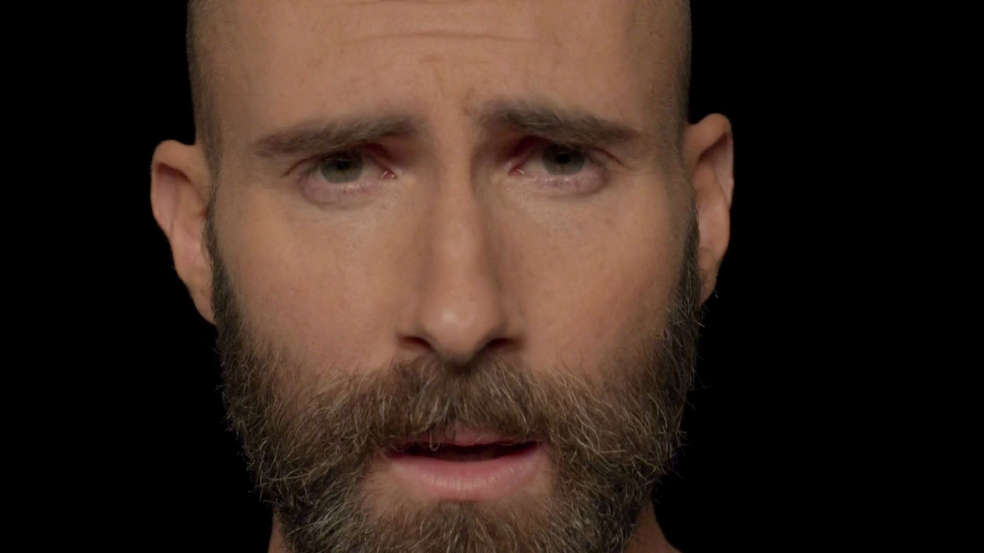 【油管搬运】maroon 5 - memories (official video){双语字幕】