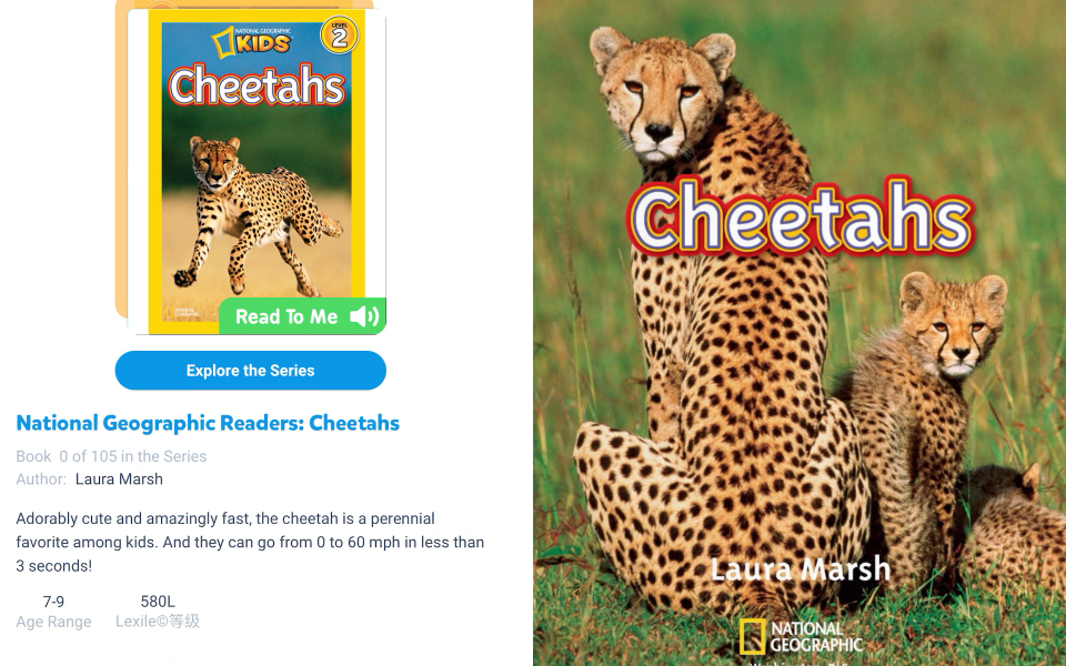 [图]Miss Bean loves Science: National Geographic Readers: Cheetahs 世界上跑得最快的动物猎豹！