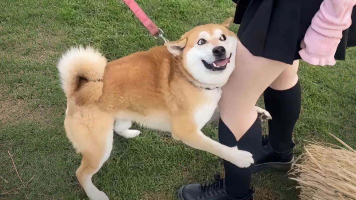 《鬼点子生成中》