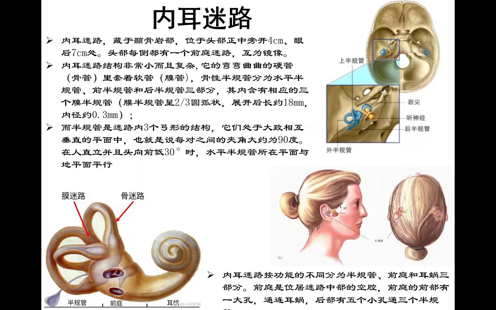 脑科学研究进展第7章前庭系统20220406哔哩哔哩bilibili