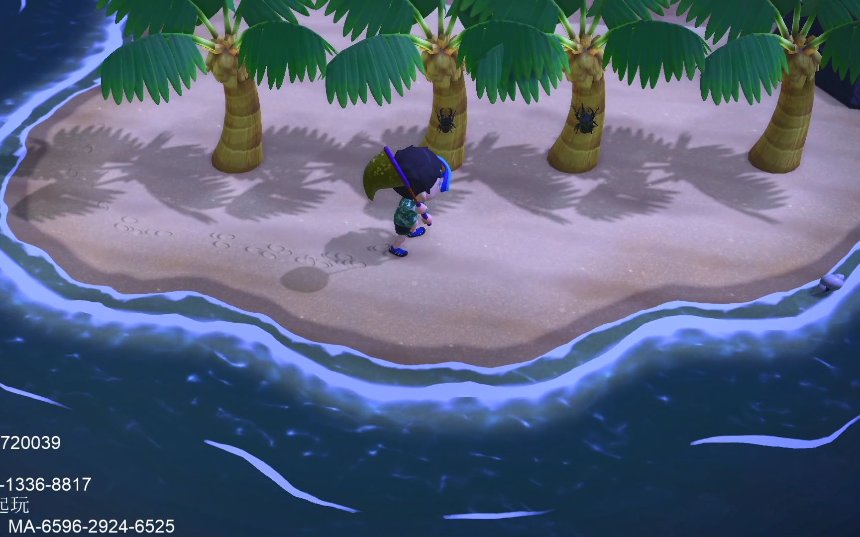 【动森竹子岛】7月新开荒,曾经为了竹子,为了蜘蛛,为了蝎子,这次为了